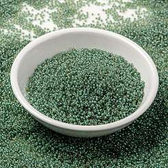MIYUKI Round Rocailles Beads&nbsp;X-SEED-G009-RR0374
