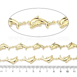 304 Stainless Steel Dolphin Link Chains&nbsp;CHS-F025-12B-G