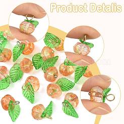 20Pcs 2 Colors Glass & Acrylic Pendants&nbsp;PALLOY-FS00051