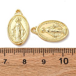 Alloy Pendants&nbsp;FIND-C070-01G