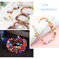 160Pcs 8 Colors Natural Freshwater Shell Beads Strands&nbsp;SHEL-CD0001-06
