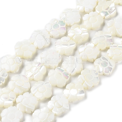 Natural Trochus Shell Beads Strands&nbsp;BSHE-E030-03-1