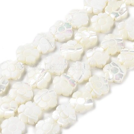 Natural Trochus Shell Beads Strands BSHE-E030-03-1