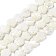 Natural Trochus Shell Beads Strands&nbsp;BSHE-E030-03-1