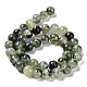 Natural Prehnite Beads Strands&nbsp;G-P322-48-10mm-01-3