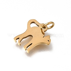 304 Stainless Steel Charms&nbsp;SA-CBAF171-05G