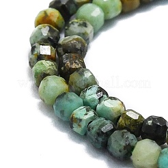 Natural African Turquoise(Jasper) Beads Strands&nbsp;G-P457-B01-43
