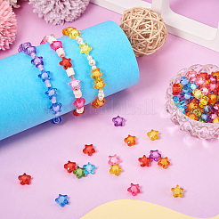 Transparent Acrylic Beads&nbsp;TACR-TAG0001-02