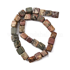 Natural Picasso Stone/Polychrome Jasper Beads Strands&nbsp;G-D098-D02