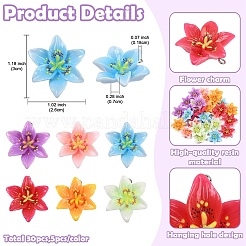 30Pcs 6 Colors Opaque Resin Pendants&nbsp;CRES-YW0002-84
