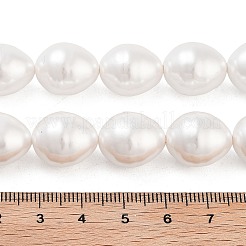 Electroplated Shell Pearl Beads Strands&nbsp;BSHE-H110-01-03