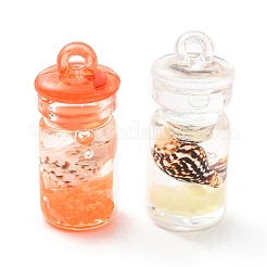 Translucent Resin Pendants&nbsp;RESI-D067-01A