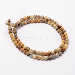 Natural Crazy Lace Agate Beads Strands&nbsp;G-D840-70-4mm