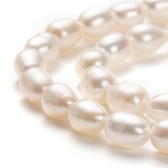 Natural Cultured Freshwater Pearl Beads Strands&nbsp;PEAR-L033-59