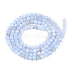 Natural Freshwater Shell Beads Strands&nbsp;BSHE-T009A-01F