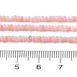 Natural Freshwater Shell Beads Strands&nbsp;SHEL-P017-01A-09
