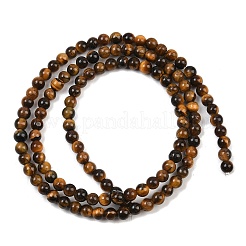 Natural Tiger Eye Beads Strands&nbsp;G-S259-21-3mm