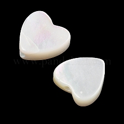 Natural White Shell Beads&nbsp;SSHEL-I026-09