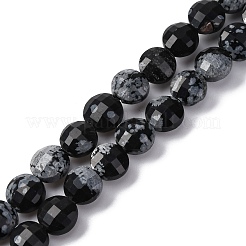 Natural Snowflake Obsidian Beads Strands&nbsp;G-C179-A33-03