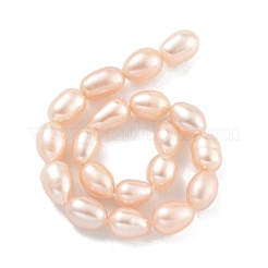 Natural Cultured Freshwater Pearl Beads Strands&nbsp;PEAR-P062-10G
