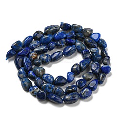 Natural Lapis Lazuli Beads Strands&nbsp;G-P497-01A-14