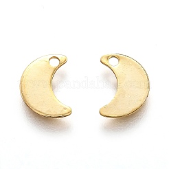 201 Stainless Steel Charms&nbsp;STAS-B001-17G