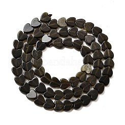 Natural Golden Sheen Obsidian Beads Strands&nbsp;G-A272-A01-33A
