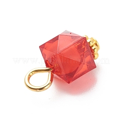 Transparent Acrylic Pendants&nbsp;PALLOY-JF01834-05