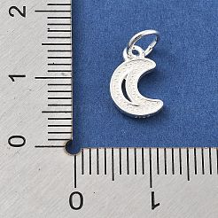 925 Sterling Silver Charms&nbsp;STER-S009-07B-S