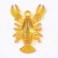 Transparent Acrylic Pendants&nbsp;X-TACR-S149-02