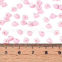 Baking Paint Glass Seed Beads&nbsp;SEED-N007-30E