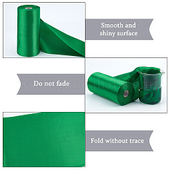Flat Polyester Ribbons&nbsp;SRIB-WH0011-012E