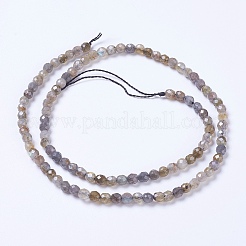 Natural Labradorite Beads Strands&nbsp;G-F568-199-4mm