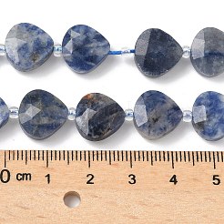 Natural Blue Spot Jasper Beads Strands&nbsp;G-D316-A04
