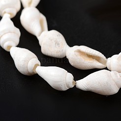 Natural Sea Shell Conch Bead Strands&nbsp;BSHE-O009-06