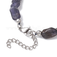 Natural Iolite Nuggets Beaded Necklaces for Women&nbsp;NJEW-JN05829