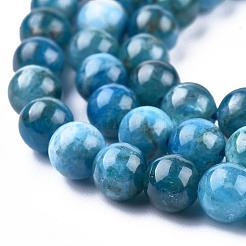 Natural Apatite Beads Strands&nbsp;G-O186-E02-6mm