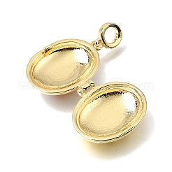 Brass Micro Pave Clear Cubic Zirconia Photo Locket Pendants&nbsp;KK-A303-40G