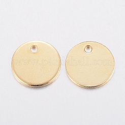 304 Stainless Steel Charms&nbsp;STAS-H436-66-10mm