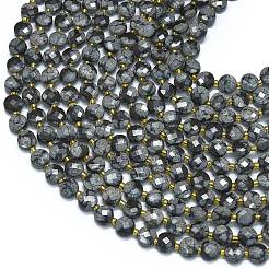 Natural Snowflake Obsidian Beads Strands&nbsp;G-K389-B65-01