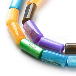 Natural Freshwater Shell Dyed Beads Strands&nbsp;SHEL-R129-04