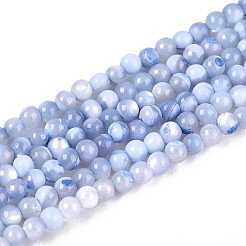 Dyed Natural Trochid Shell/Trochus Shell Beads Strands&nbsp;SSHEL-T017-13M
