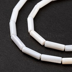 Natural Freshwater Shell Beads Strands&nbsp;SHEL-M018-10