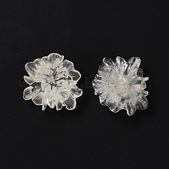 Transparent Resin Cabochons&nbsp;X-RESI-G027-01A