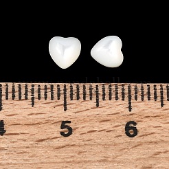 Natural White Shell Cabochons&nbsp;BSHE-H001-05
