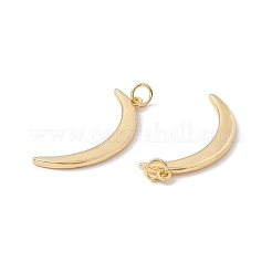 Rack Plating Brass Pendants&nbsp;KK-C247-07G