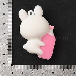 PVC Plastic Pendants&nbsp;LS-KY-U003-01B
