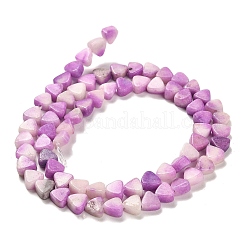 Natural Dolomite Beads Strands&nbsp;G-F765-H02-01