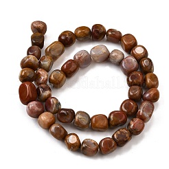Natural Petrified Wood Beads Strands&nbsp;G-L621-C11-02