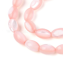 Natural Trochus Shell Beads Strands&nbsp;SHEL-K006-19-01F